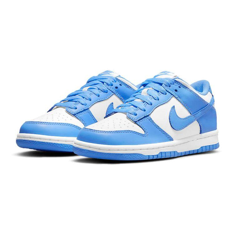 Nike dunk blue